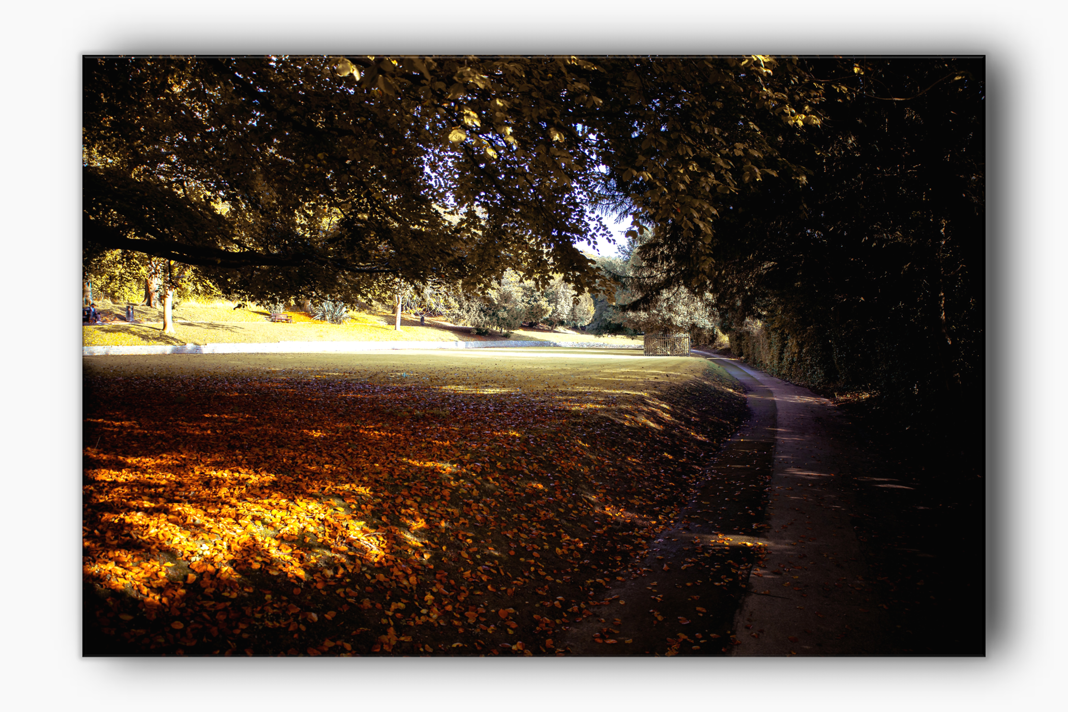 Autumn in Connaught Park in Dover Kent