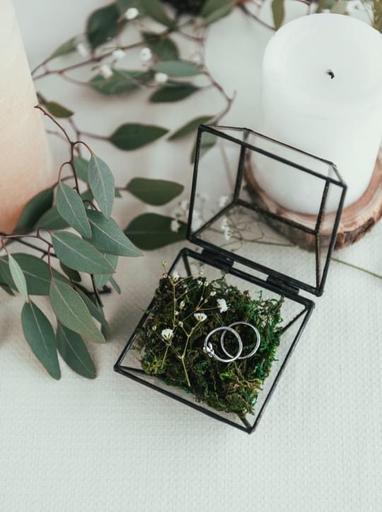 Bride and groom wedding rings photograph