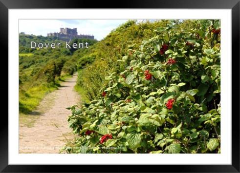 Summer at Dover Castle