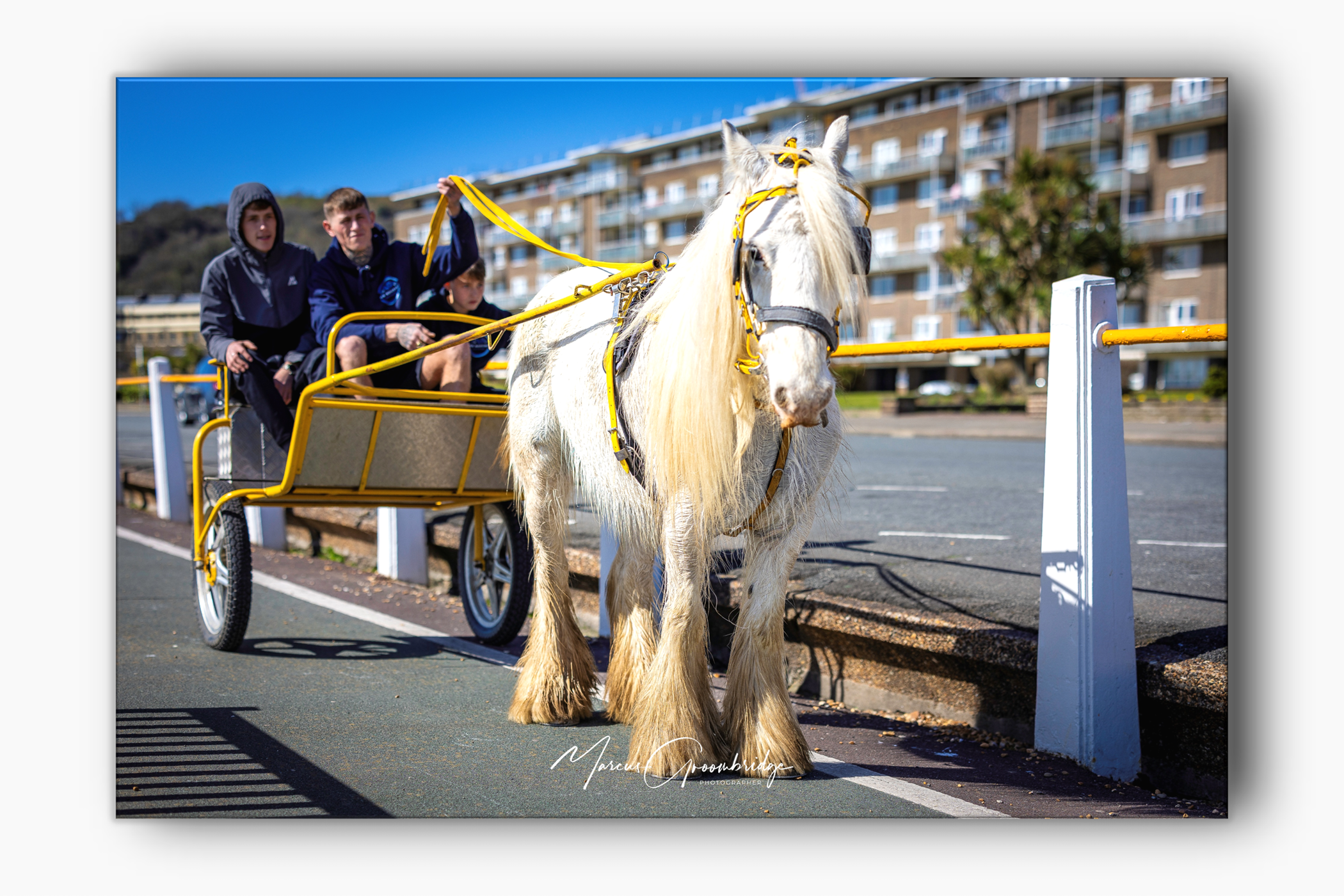 Horse and cart of Dover seafront