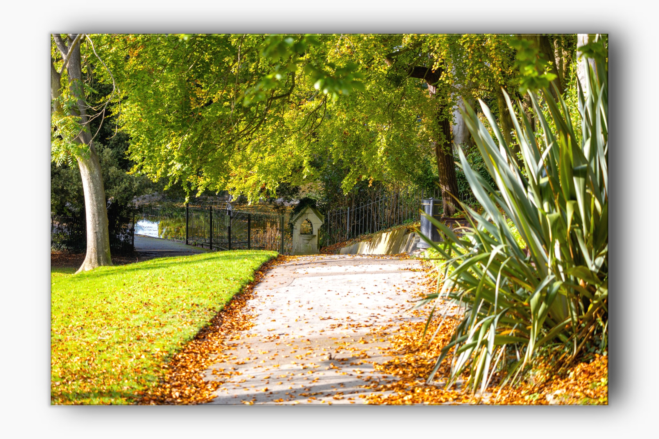 Pathway in Connaught Park