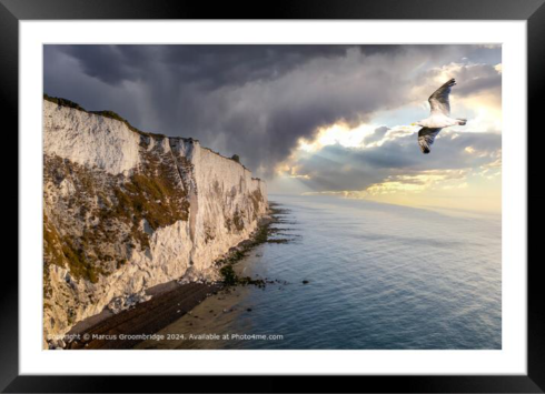 Soaring near the White Cliffs of Dover