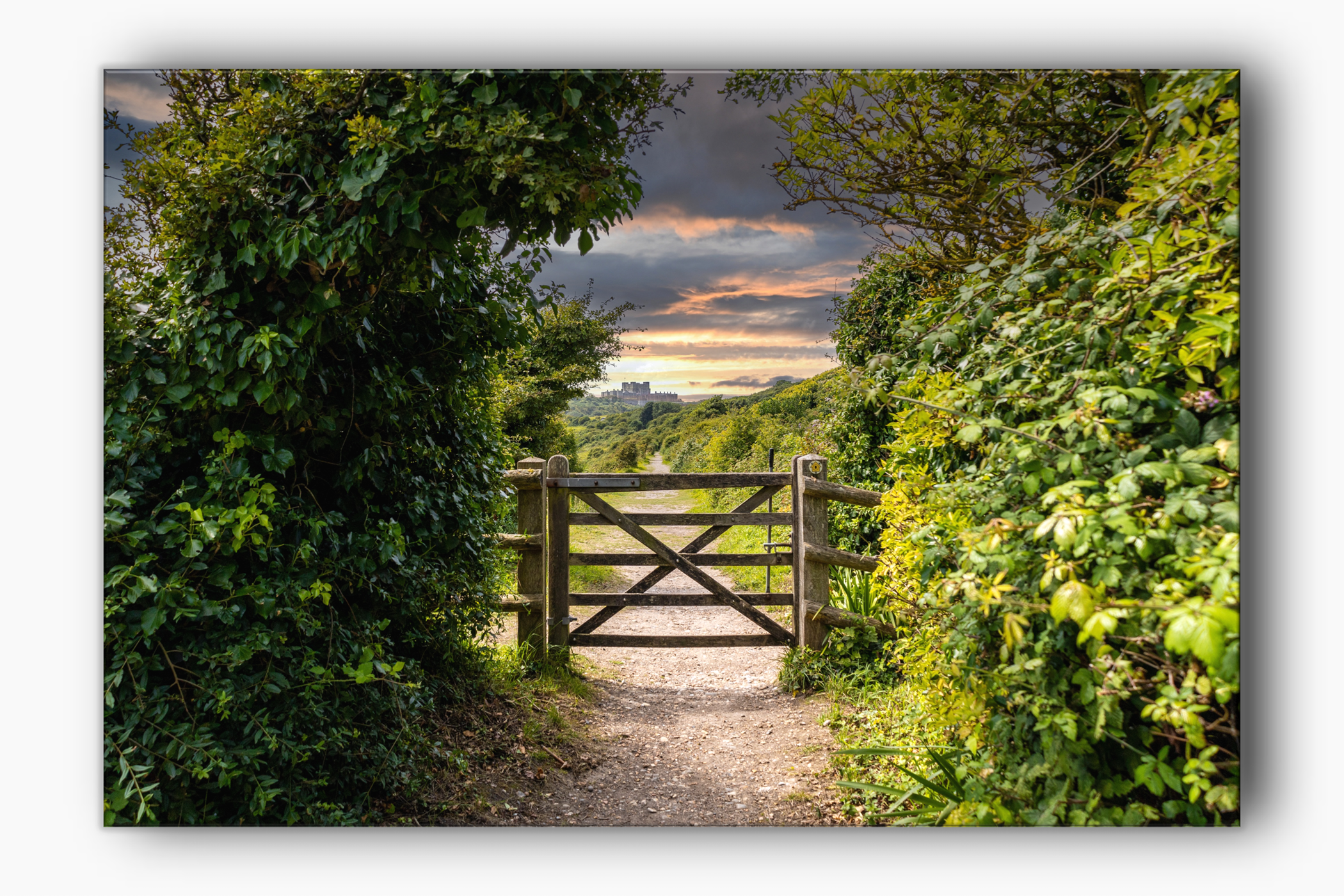 The castle taken from the cliffs of Dover