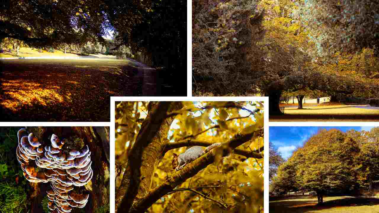 Seasonal Change photographs and photography