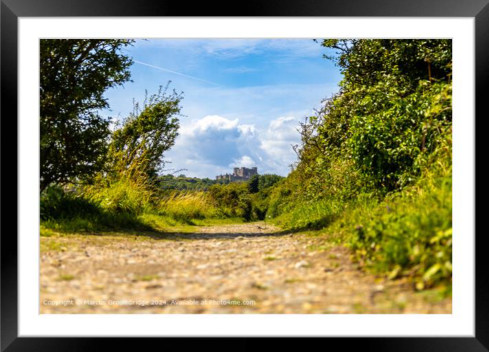 Summer at Dover Castle Photography