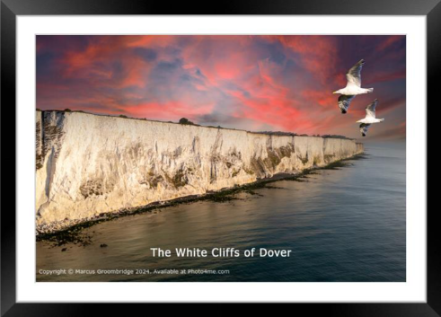 Seagulls over the White Cliffs of Dover